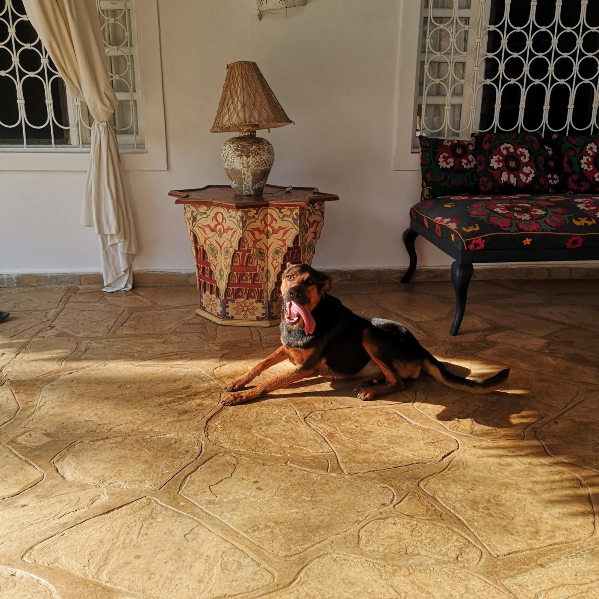 Vila Fulvia House Malindi Exteriér fotografie